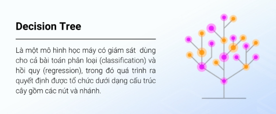 Decision Tree, Decision Tree phổ biến